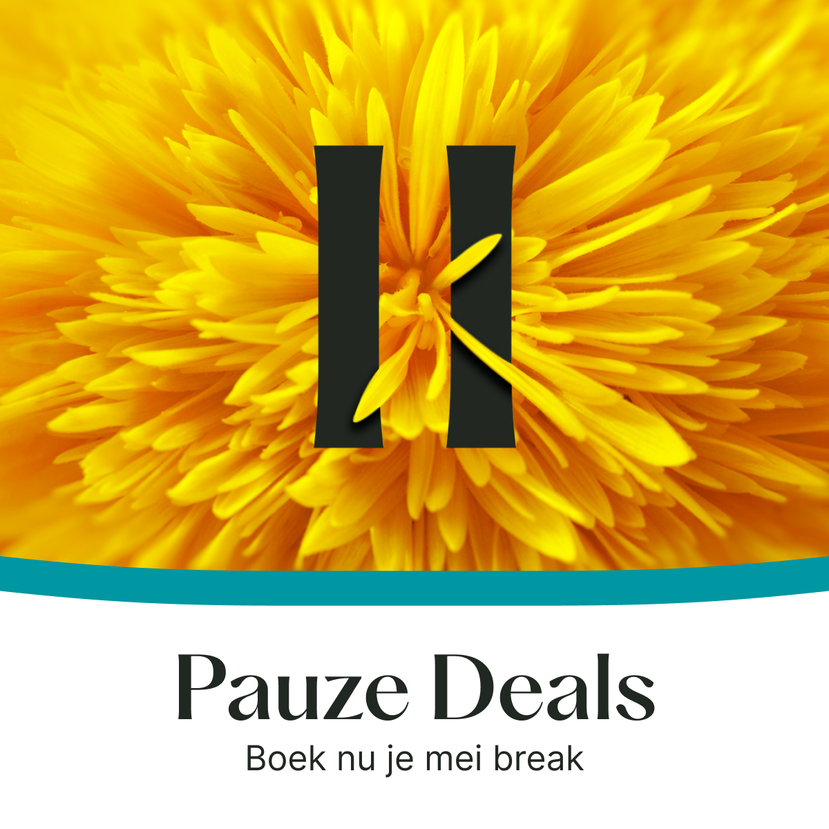 Pauze Deals